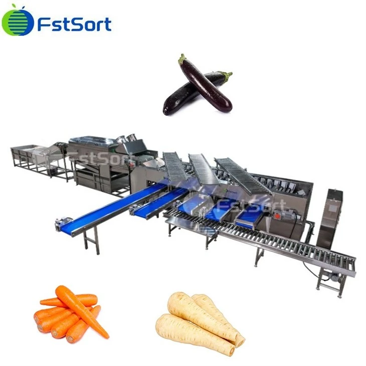 Industrial Carrot Sorting Machine suppliers