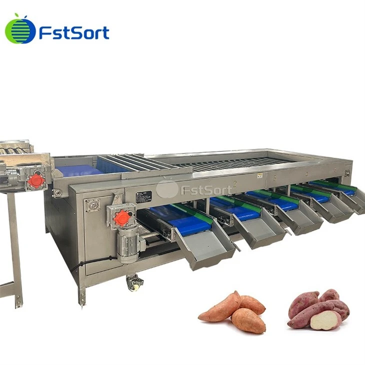 Industrial Carrot Sorting Machine factory