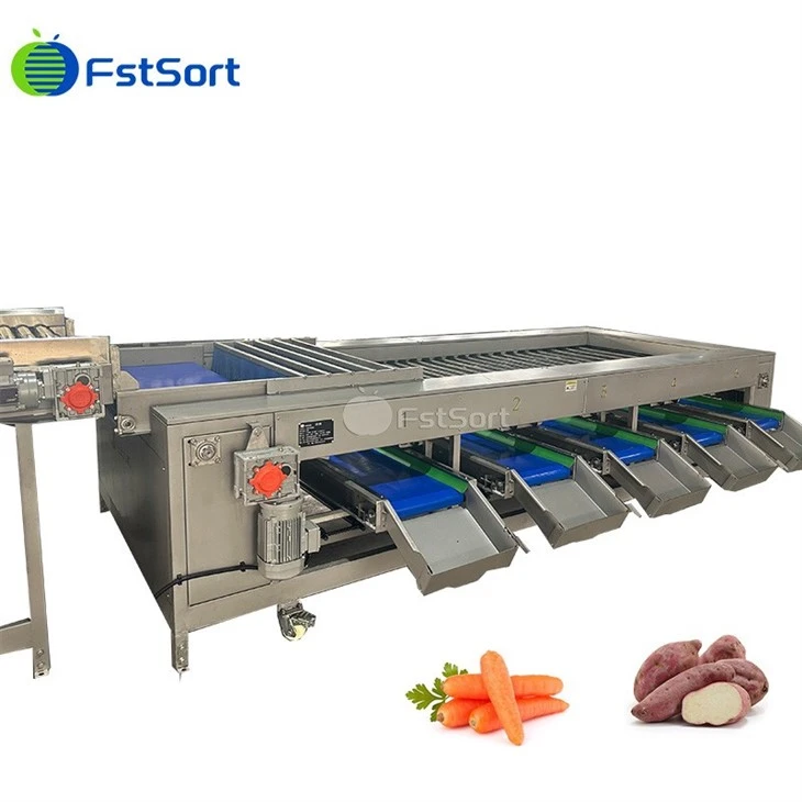 Industrial Carrot Sorting Machine high quality