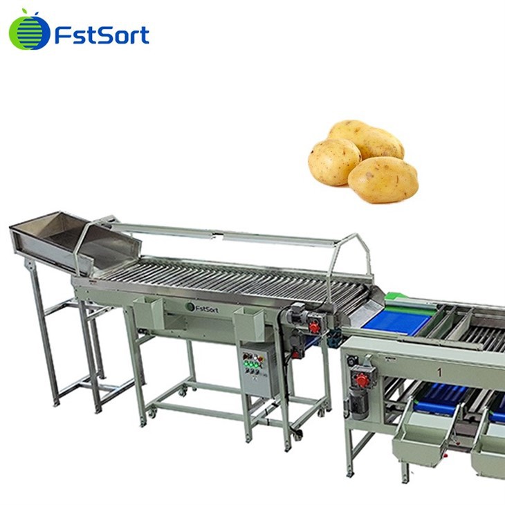 High Capacity Potato Roller Sorting Machine best