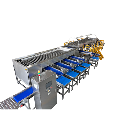 Systemau Pwyso Graddfa